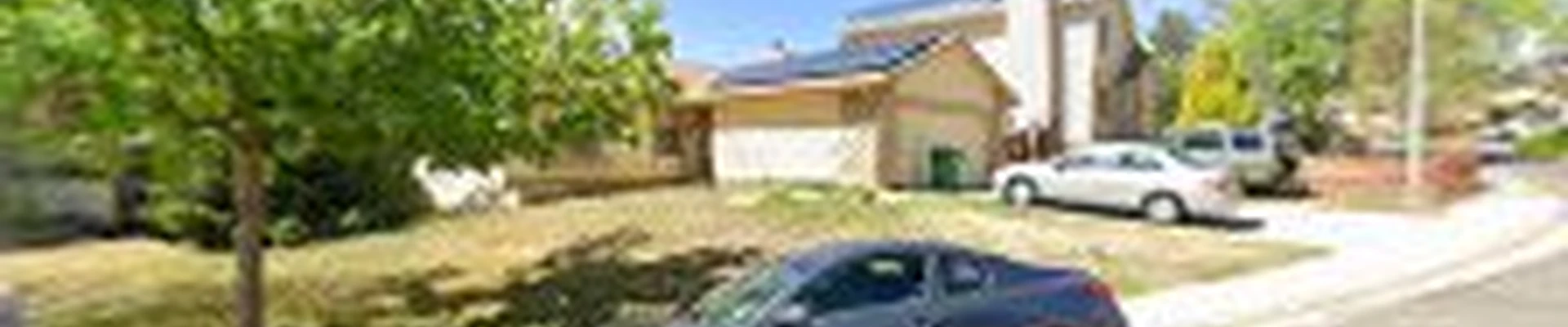 Denver Cleanpro - Carpet Cleaner