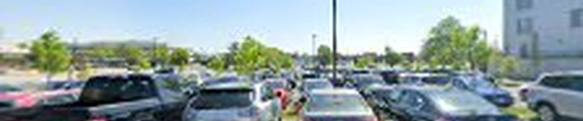 S.M. Carpet Cleaning