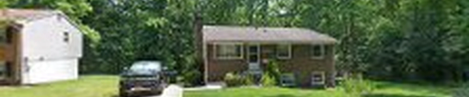 DMVPro-Cleaning Services