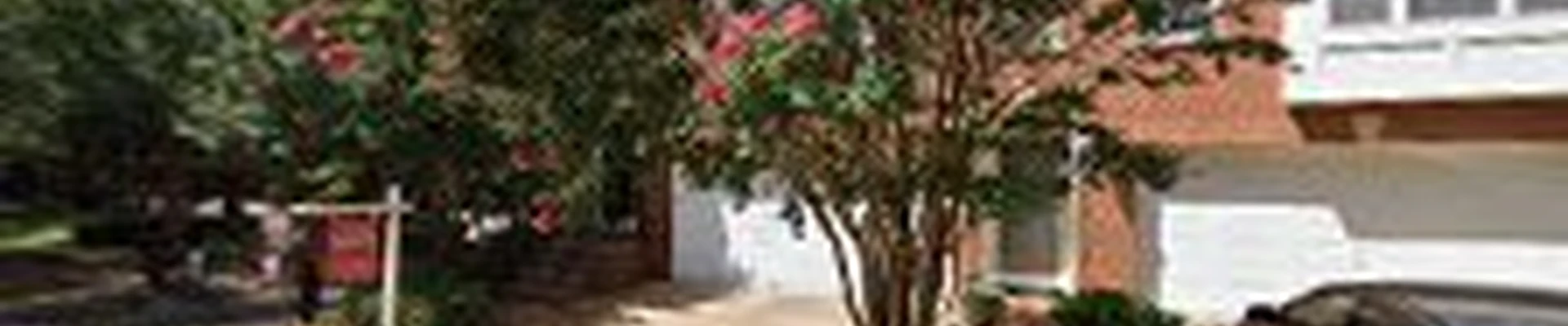 Douglas Exterior Cleaning LLC