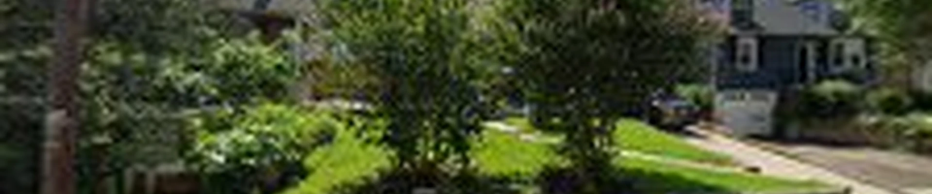 Gold standards Professional Cleaning LLC