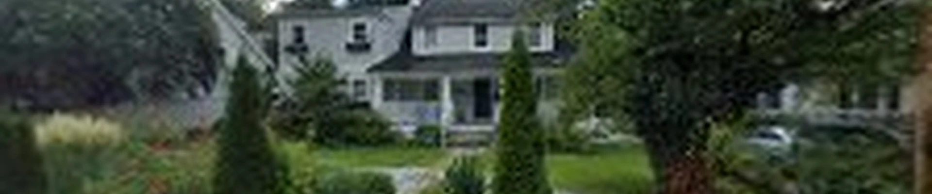 EZ Chimney Sweep And Repairs