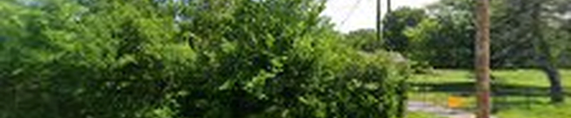Southern Wind Landscape & Design LLC.