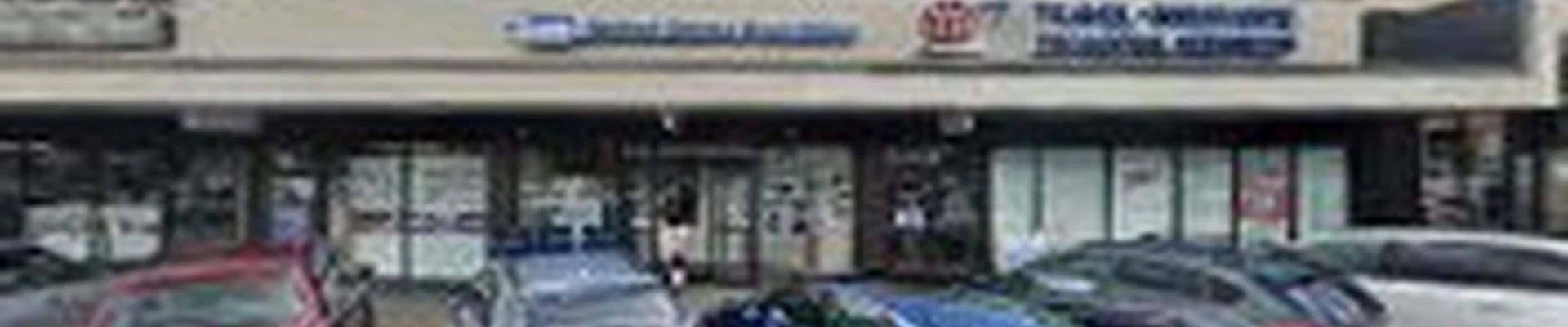 LXT Carpet Cleaners