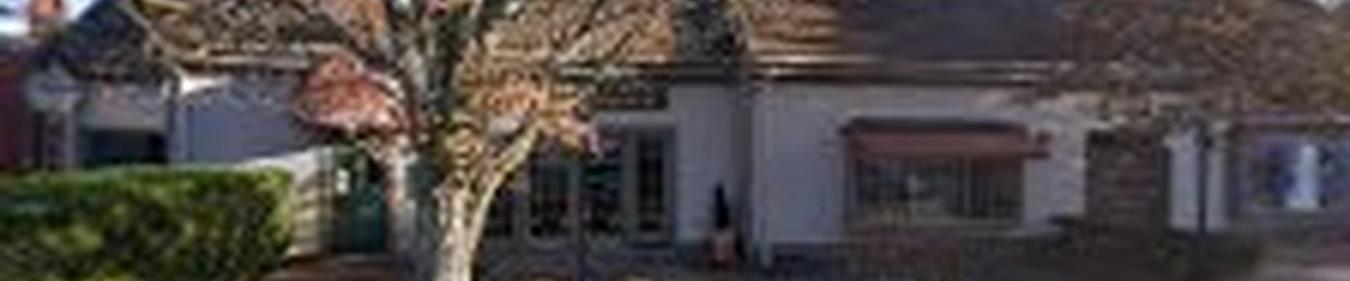 Finest Lexington Carpet Cleaning