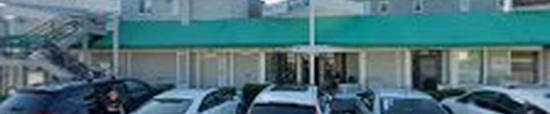 Go Green Carpet Cleaning