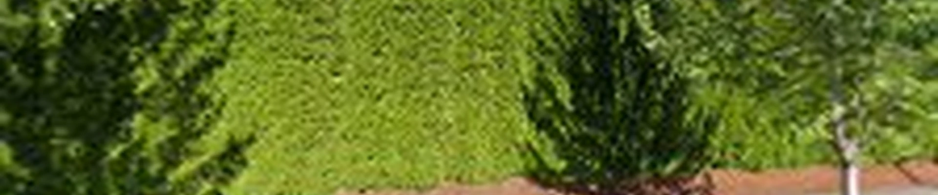 United Pro Exteriors