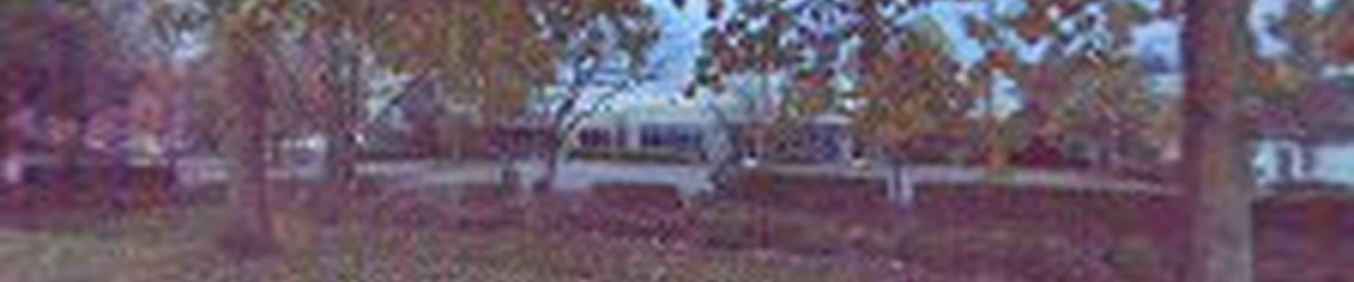 LeafFilter Gutter Protection