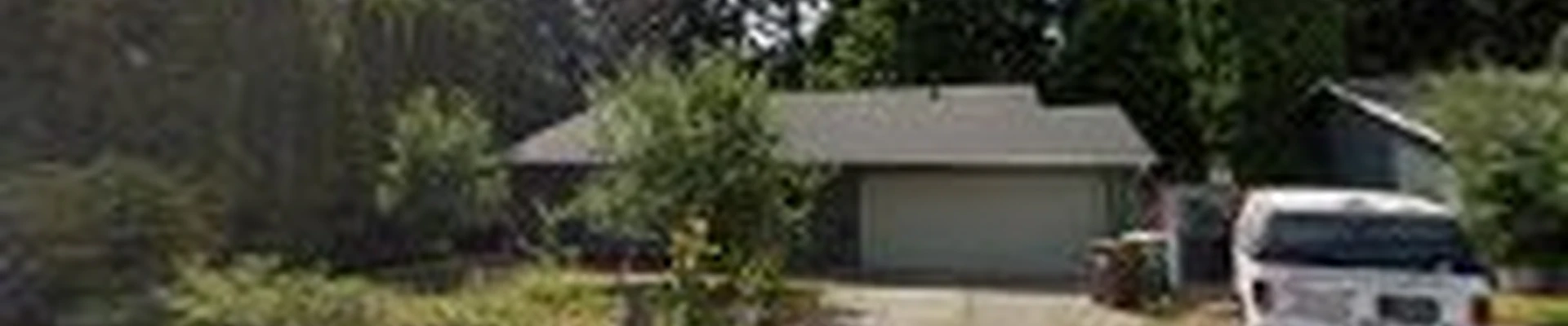 Mountain View Carpet Cleaning - Hillsboro