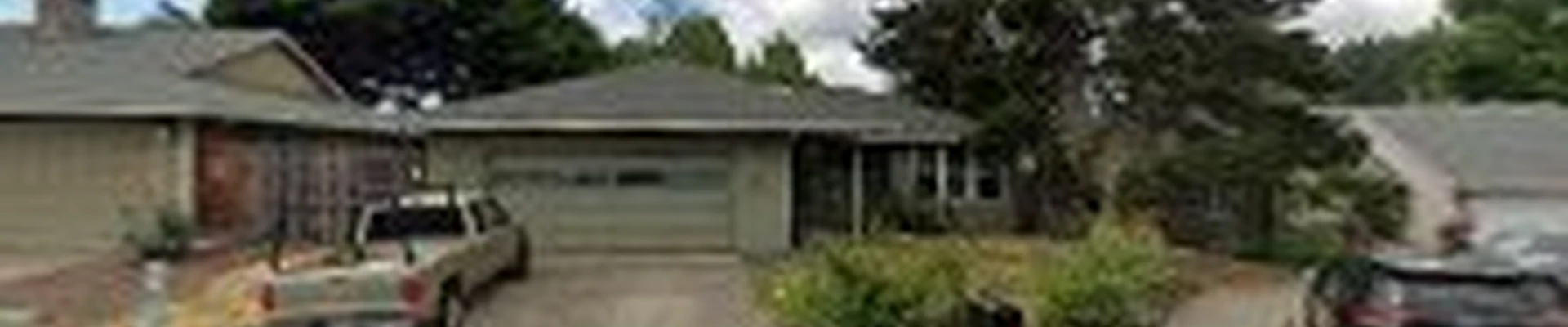 Pacific Diligent Services Roof Moss Removal & Gutter Cleaning
