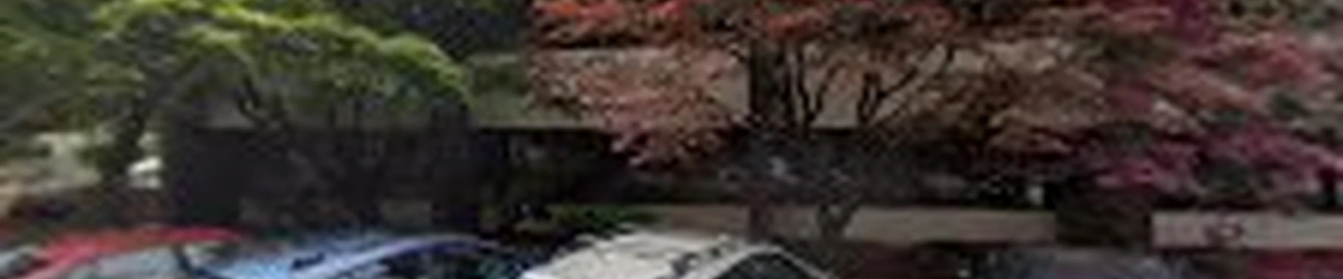 PDX Commercial Cleaning