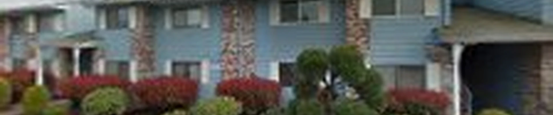 Expert Pro Cleaning LLC