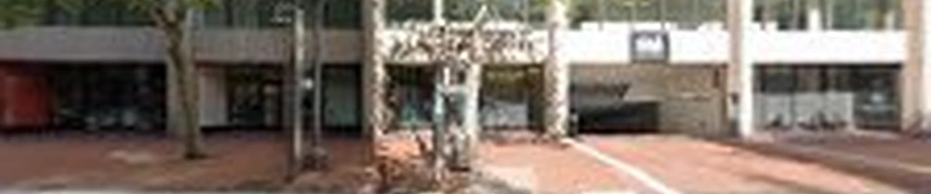 STAR BUILDING SERVICES LLC