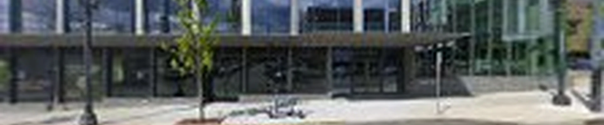 Expert Cleaning Group LLC