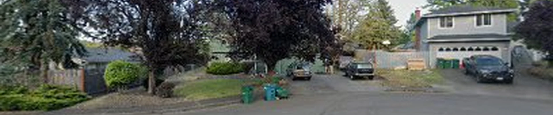 Nelson's Painting & Chimney Cap Cleaning Services