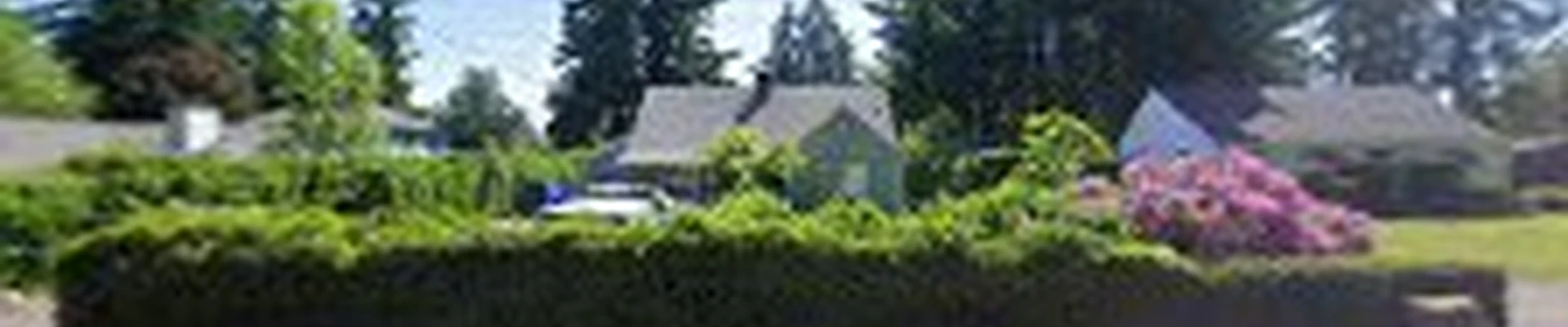 D and D Carpet Care, Llc