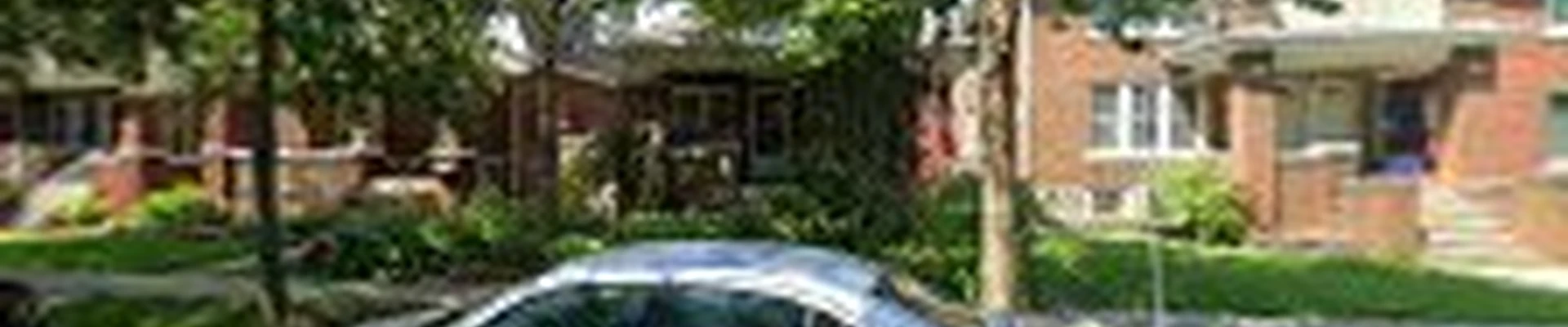 Mister chimney cleaning service