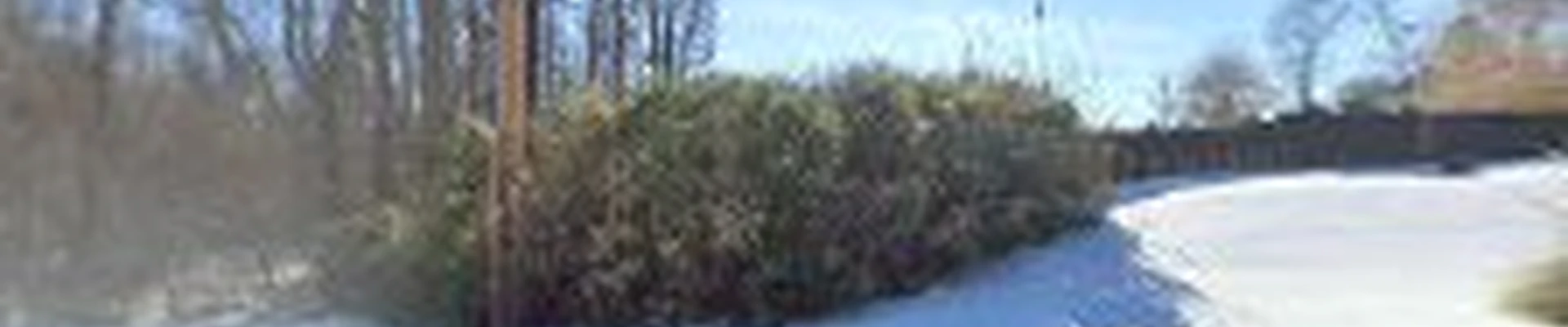 Coopertown Fireplace & Wildlife Services