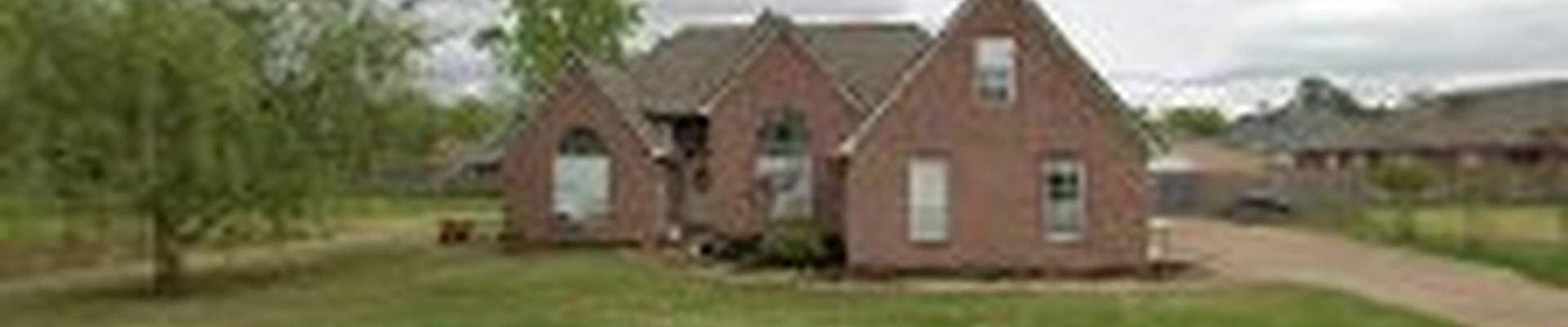 New Life Carpet Cleaning Services