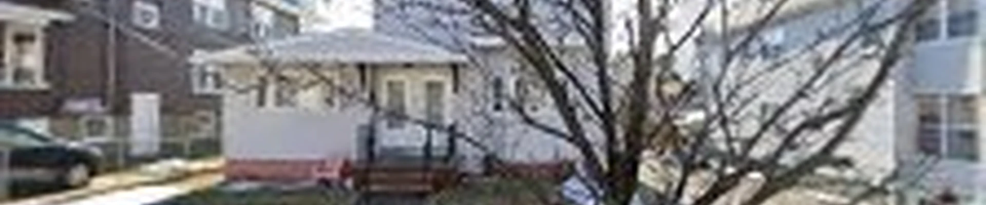 Pro Alpha Painting and Cleaning LLC