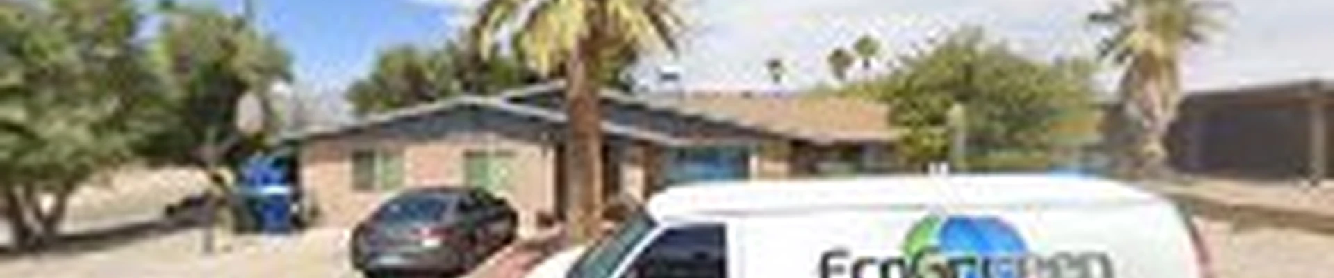 EcoGreen Carpet, Tile and Upholstery Care