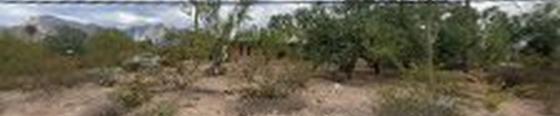 Saguaro Scrubber LLC