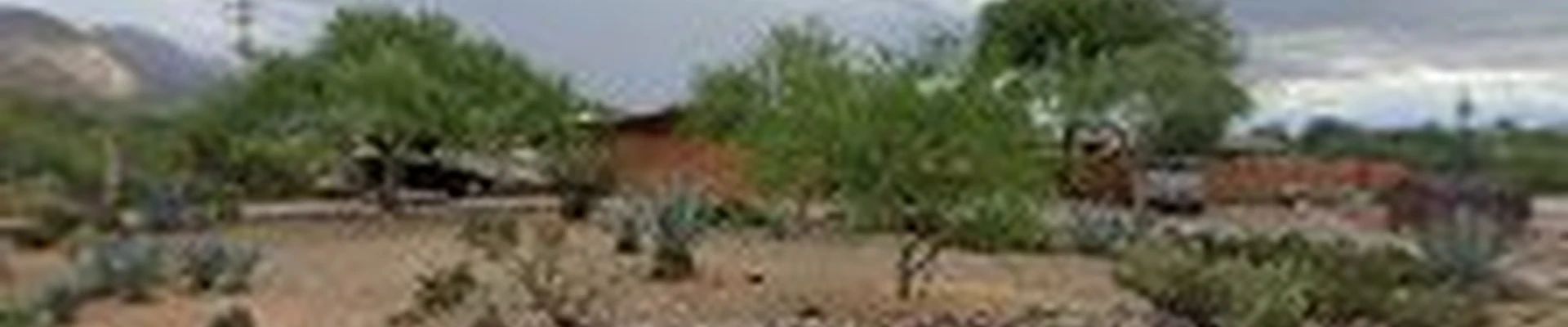 Arizona Gutter Pros