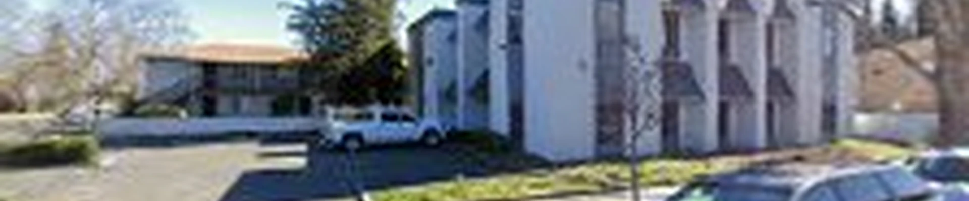 White Bright Carpet Cleaning