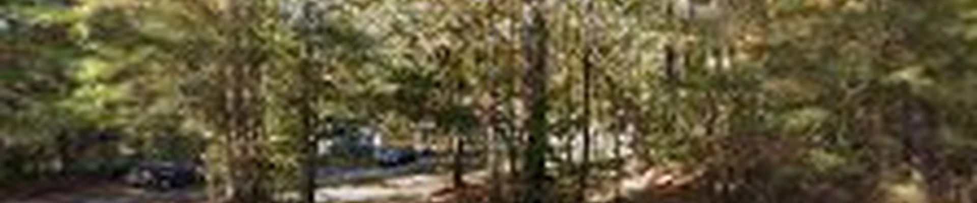 Al's & E's Carpet Cleaning & Restoration llc
