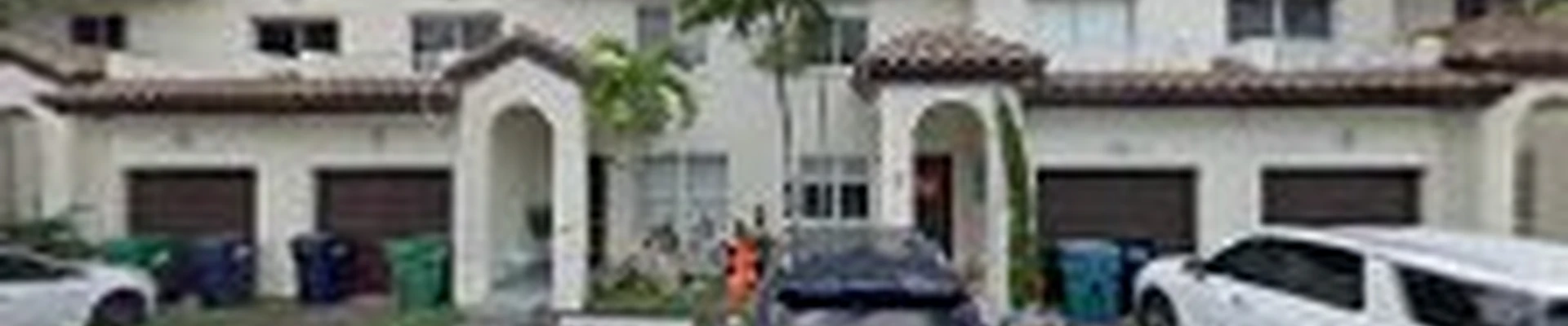 Palm Cleaning Services