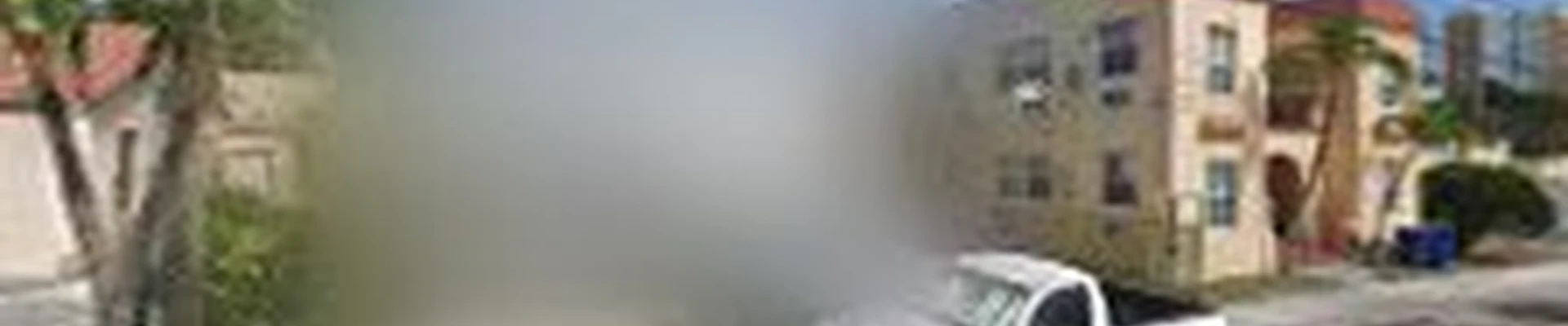 My Mother's Cleaning