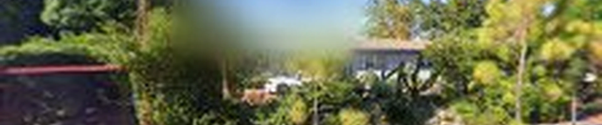 Trustworthy Cleaning Services - Miami