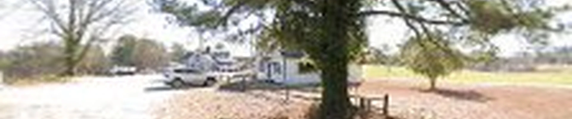 TLC Exterior Cleaning Services