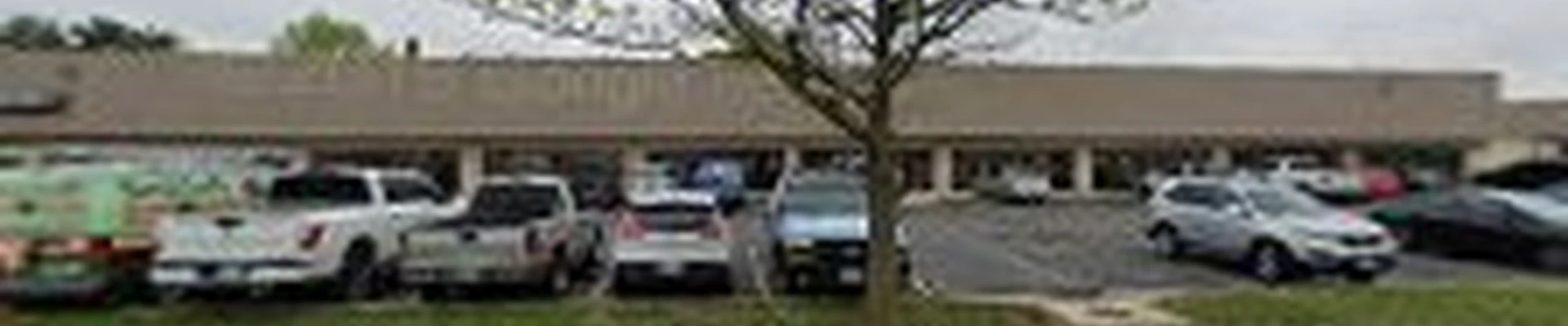 Tiger Pro Wash, LLC