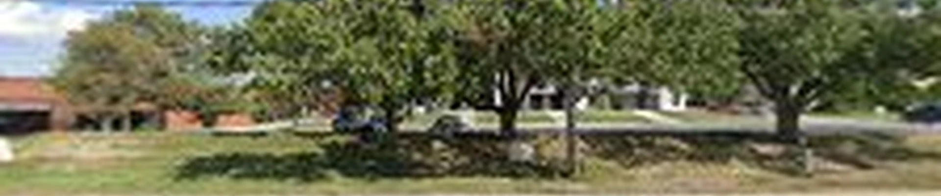Leafguard Gutter Protection