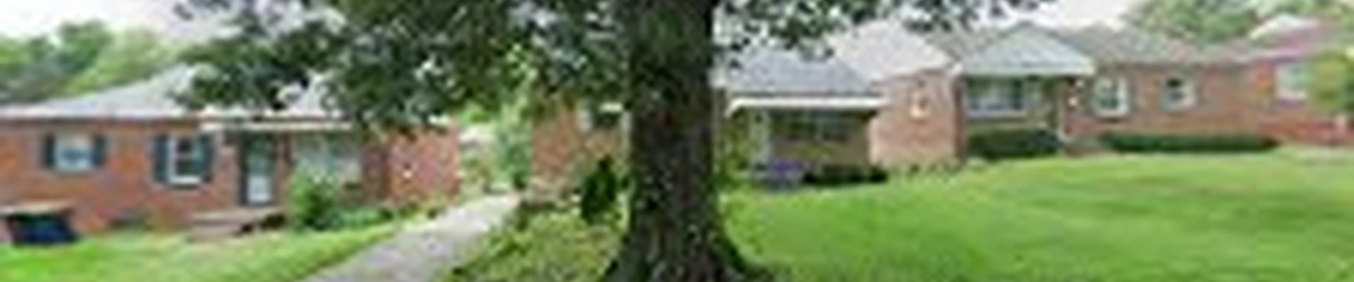 Roofing repairs, snow removal &home cleaning