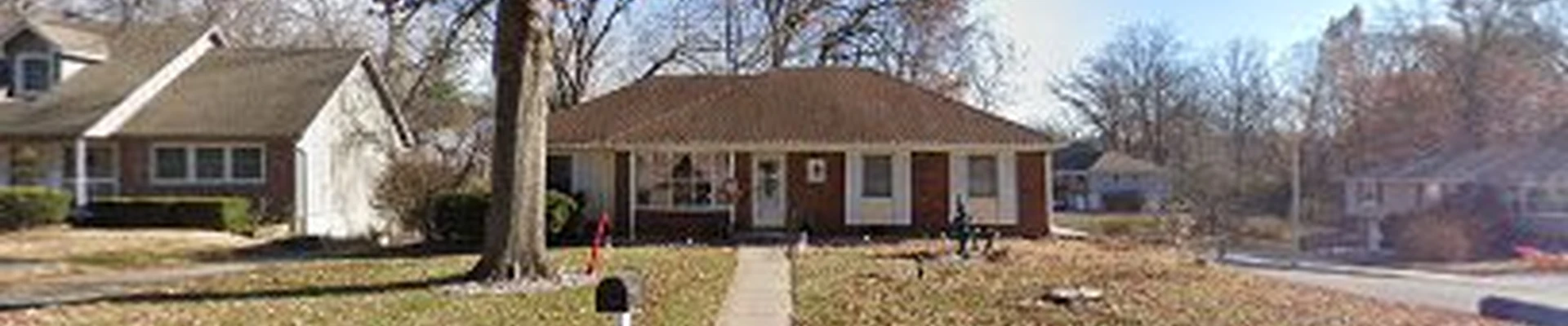 Lady Professional Cleaning Llc