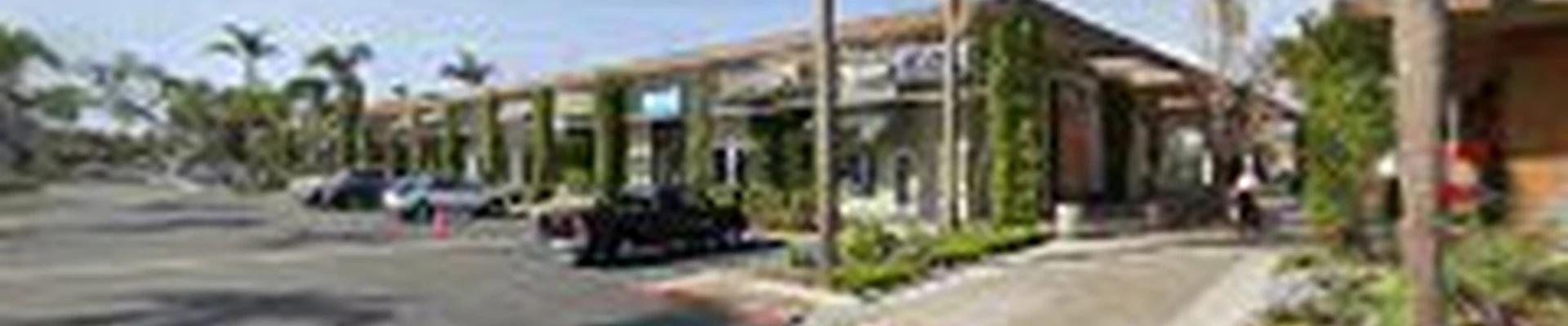 Vision Pool Services