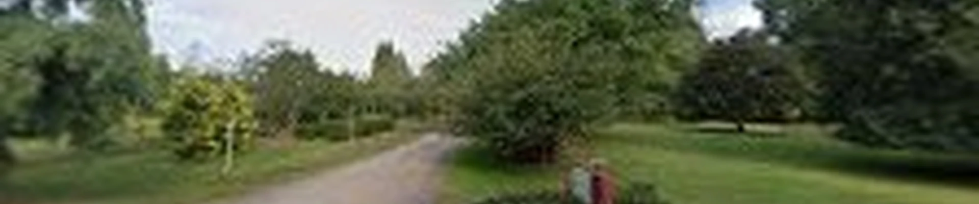 Total Home Services