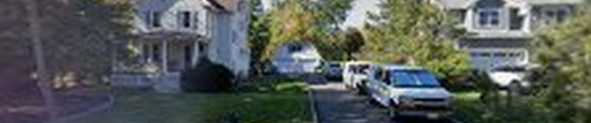 Green Steam Carpet Cleaning