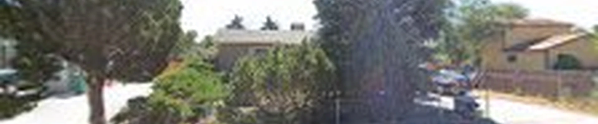Spring Clean LLC Junk Removal & Cleaning Service