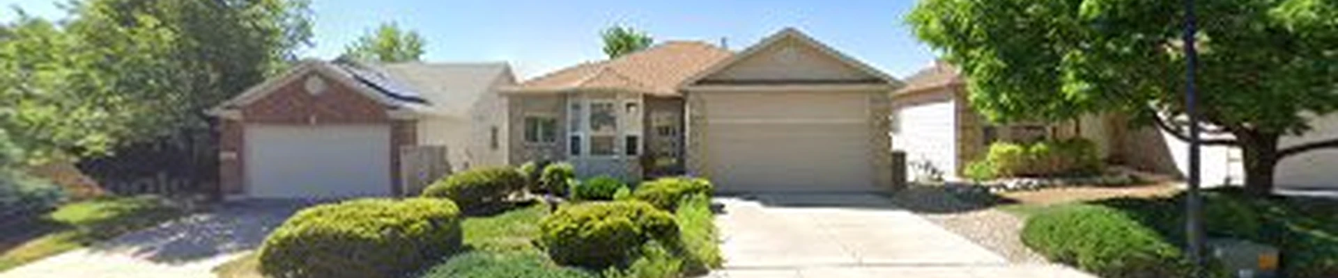 Renew Carpet Cleaning