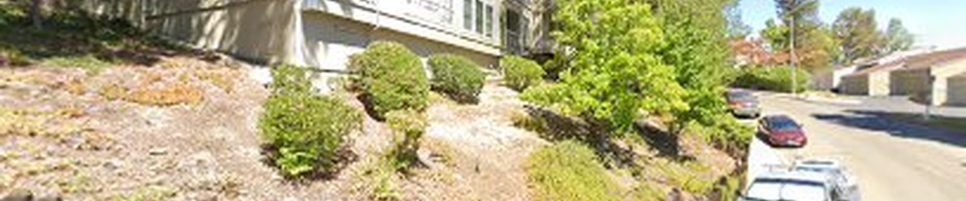 Greenlight Carpet Cleaning