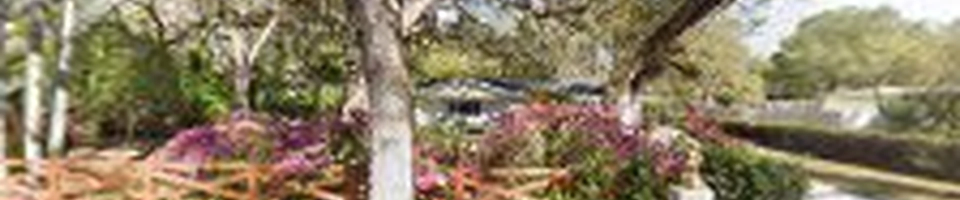 Images Cleaning Services Inc