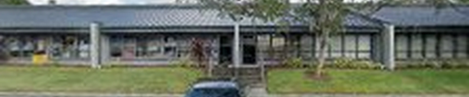 PureVu Window Cleaning