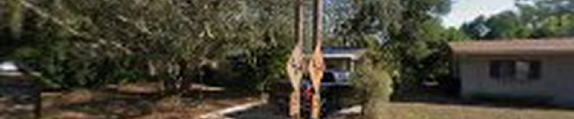 A and L Pool Maintenance