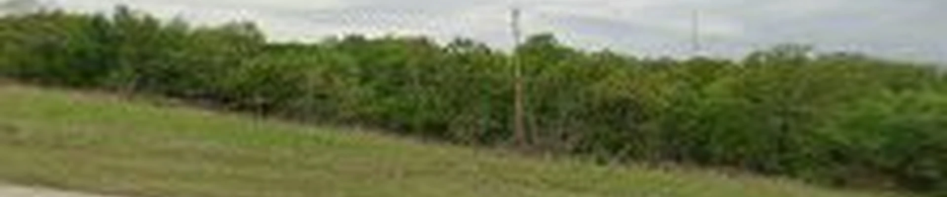 ASAP Pressure Washing and Detail