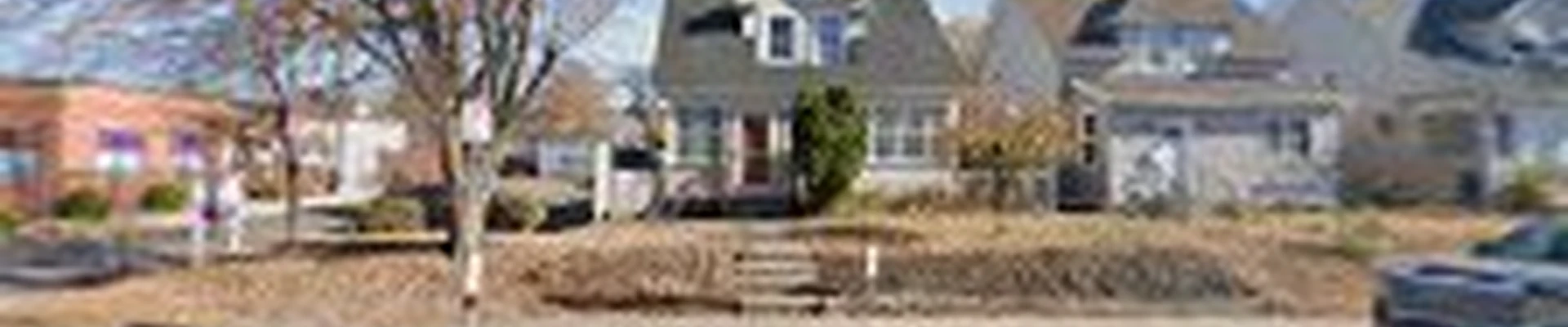 Mint Gutter Cleaning LLC