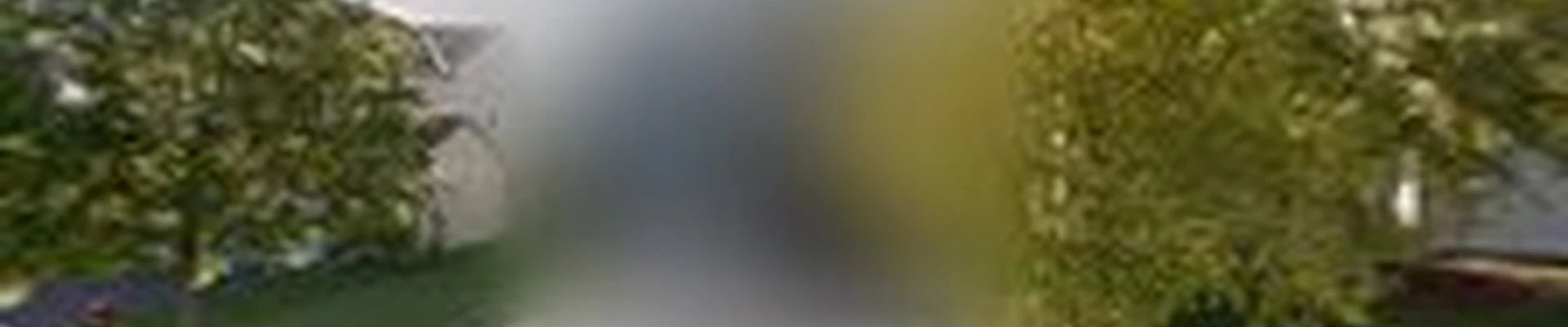 Axon Pressure Washing
