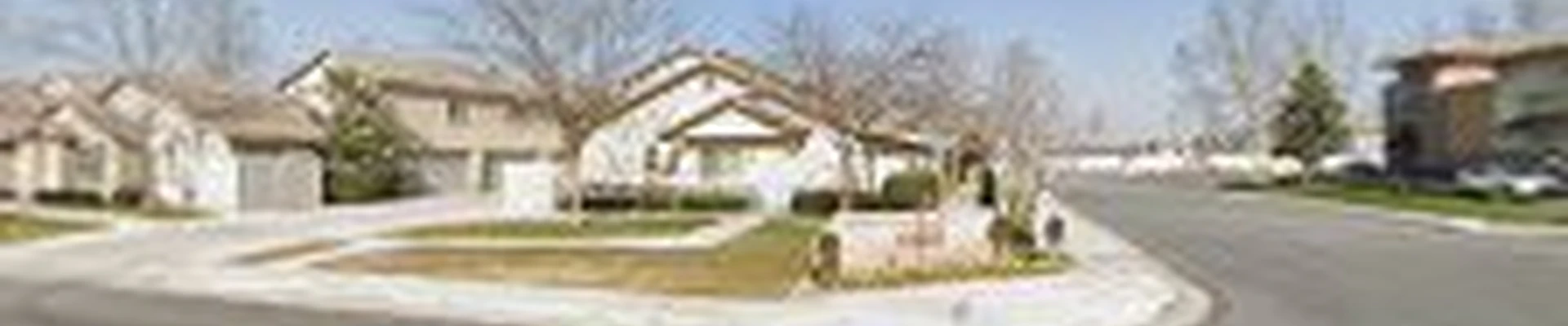 Carpet Cleaning Guys